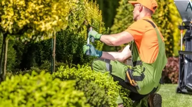 Common Landscaping and Groundskeeping Work Injuries in Charlotte