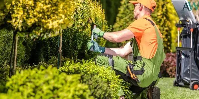 Common Landscaping and Groundskeeping Work Injuries in Charlotte