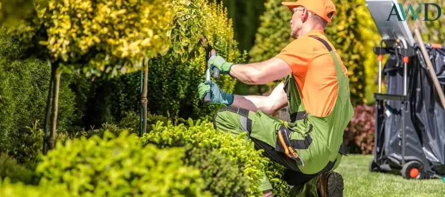 Common Landscaping And Groundskeeping Work Injuries In Charlotte